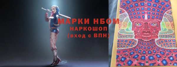 хмурый Алексин
