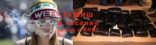 хмурый Алексин