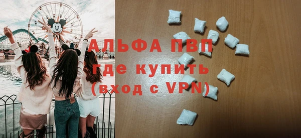 хмурый Алексин