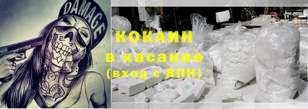 хмурый Алексин