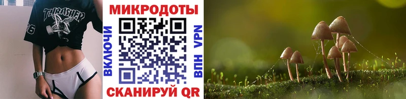 Псилоцибиновые грибы Magic Shrooms  Касли 